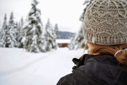 Young Couple Starts an Off-Grid Homestead from Scratch, Part 1 Image